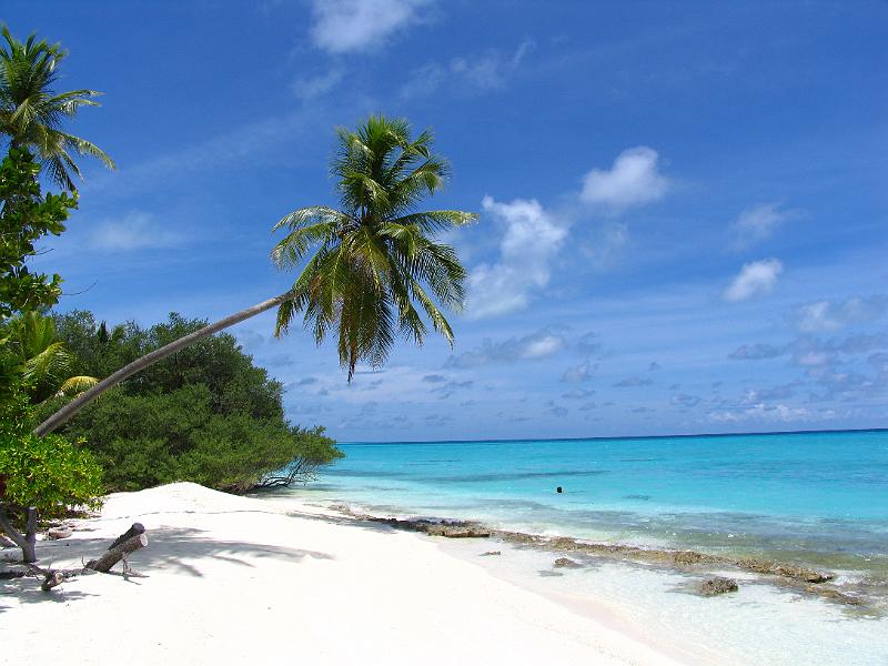 Kuramathi (115).jpg